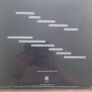 Tiny Magnetic Pets LP - Deluxe/Debris  (NEW) Image 2