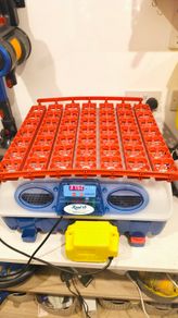 incubator