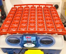 incubator