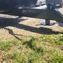 Tractor trailer 33ft bale Image 8