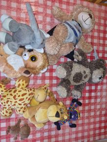Free teddies