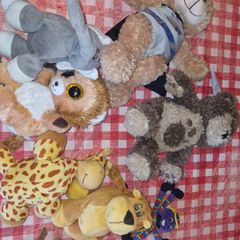 Free teddies