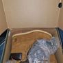 Timberland boots mens UK 11 EU 45.5 in box Image 6