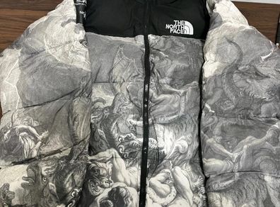 North face x Supreme Renaissance puffer jacket