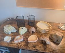 Free Reptile Equipment