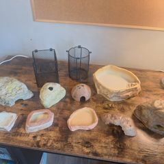 Free Reptile Equipment