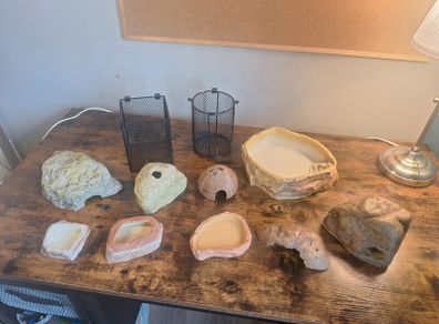 Free Reptile Equipment