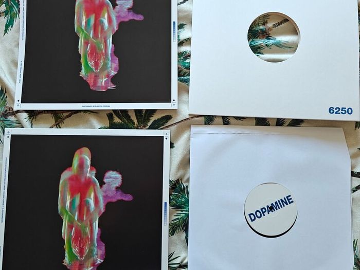 Fontaines D.C. - Dopamine Chamber Vinyl