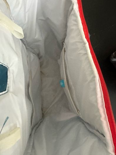 Backpack cooler bags