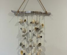 Homemade seashell decor