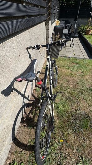 cube acid hardtail