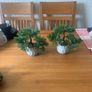 X2 fake bonsai trees Image 2