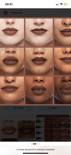 Mac lip pencil in shade chestnut