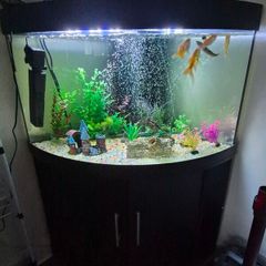 300l corner fish tank