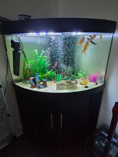 300l corner fish tank