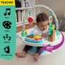 baby einstein Image 2