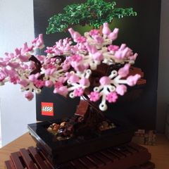 LEGO Botanicals Flower Sets