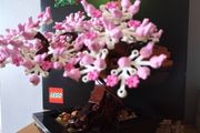 LEGO Botanical Collection 10281 Bonsai Tree
