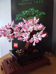 LEGO Botanical Collection 10281 Bonsai Tree