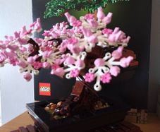 LEGO Botanical Collection 10281 Bonsai Tree