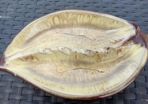 Unusual Vintage Plate