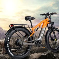 Randride Yx80 Electric Bike