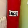 Ergo Sport heavy punch bag Image 2