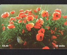 1997 Isle of Man UK5/ 55 units Poppies In Scarlet 0 Dunnock (Siemens - S30 (Module 34)) Phone Card.