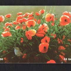 1997 Isle of Man UK5/ 55 units Poppies In Scarlet 0 Dunnock (Siemens - S30 (Module 34)) Phone Card.