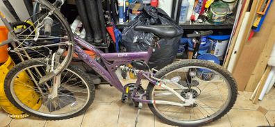 Girls/ladies Bike