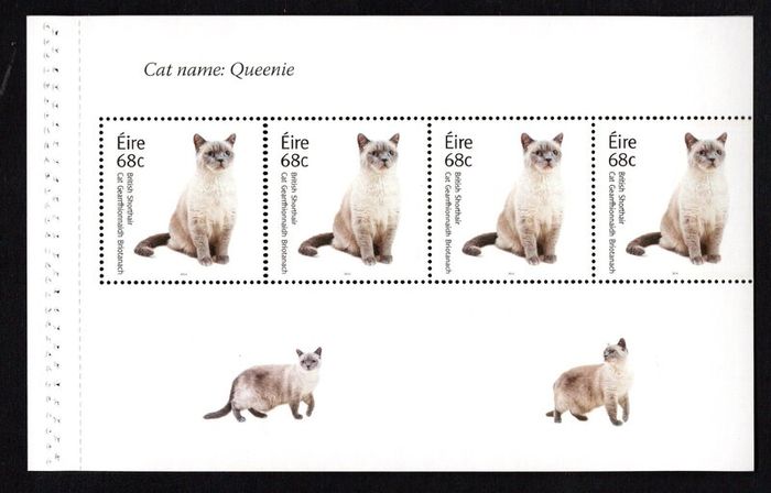 2014 Ireland Cats Commemorative Stamp Booklet Mint Never Hinged (MNH). Hibernian HB202. Photos of contents shown.