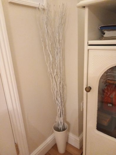 twigs