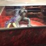 Masters of the universe - samurai battle raptor - new & unopened Image 4