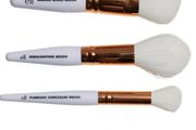 E.L.F Mini Brush Set