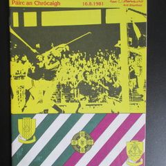 GAA All-Ireland Hurling Semi-Final Replay 1981