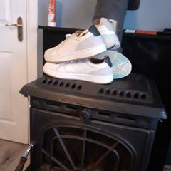 replay trainers