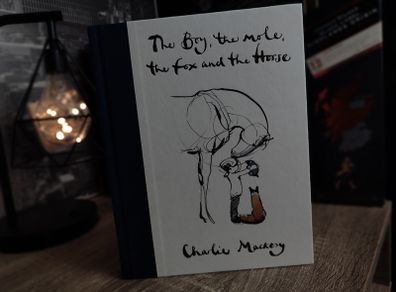 The Boy, the Mole, the Fox and the Horse ! by Charlie Mackesy ! Beautiful Hardcover ! 2019 ! by Ebury Press !