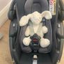 Maxi Cosi Coral Car seat and isofix. READY TO USE Image 5