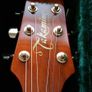Takamine Image 4