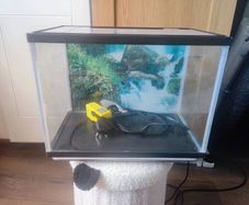 Fish tank