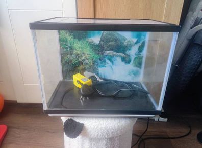 Fish tank
