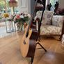 Guitar Mcilroy 12 String Cutaway Image 10