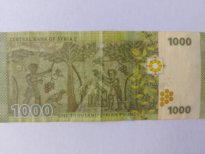 Syrian Banknote