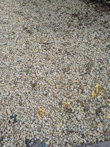 Decorative Stone