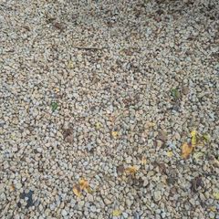 Decorative Stone