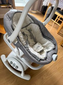 Baby Swing and Rocker Fern