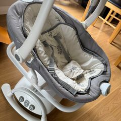 Baby Swing and Rocker Fern