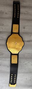 wwe world heavyweight championship