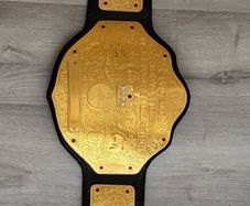 wwe world heavyweight championship