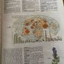 dictionaries Image 4